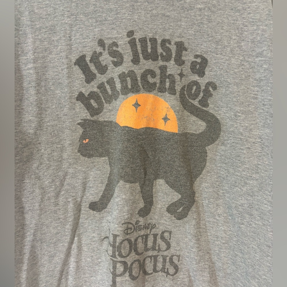 Disney Women’s Large Gray Halloween Hocus Pocus Sweatshirt Black Cat Pullover - Picture 2 of 5